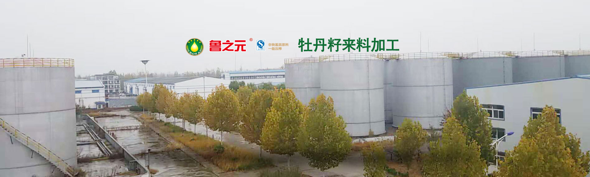 山東科大中天電子有限公司